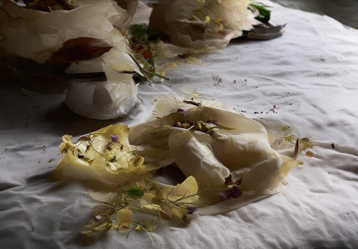 多伦多VS芝加哥：北美双城魅力与生活方式对比(图3)