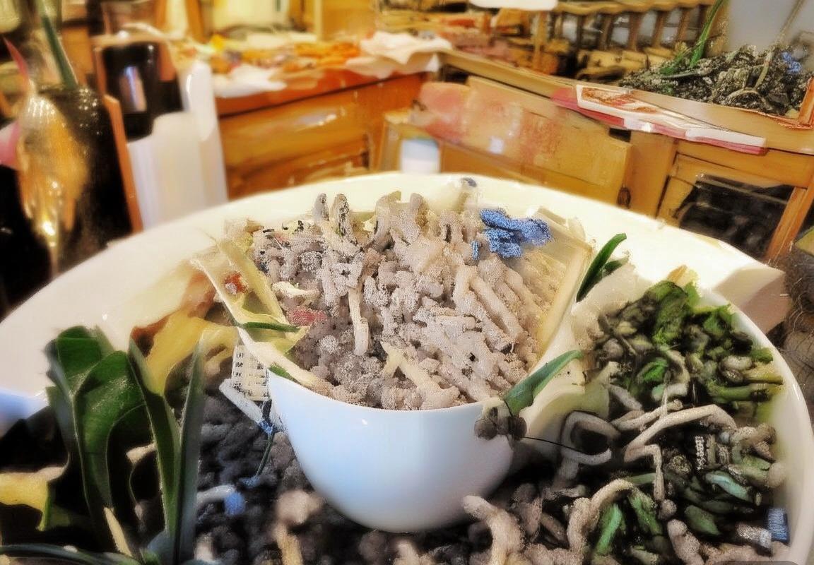 福伦丹vs鹿特：历史对决、当前表现与未来展望深度解析