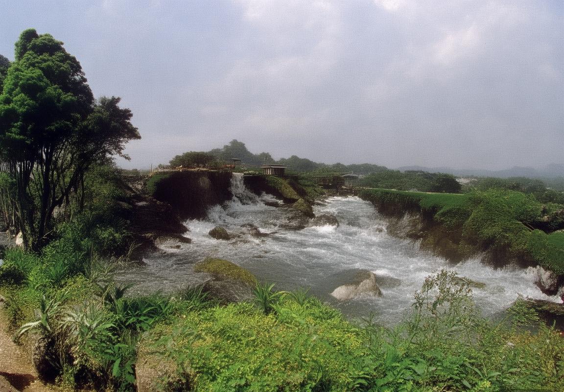 高诗岩篮球传奇：从新星到闪耀之星的成长之路